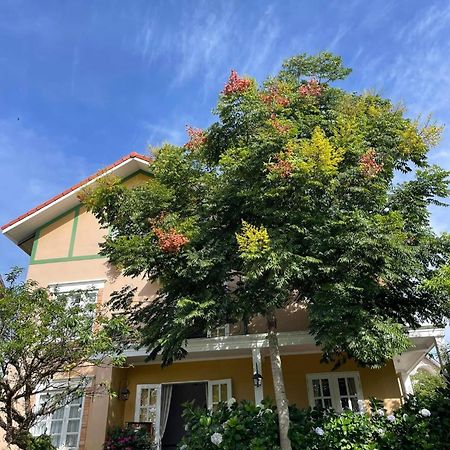 Bich Dao Boutique - Dalat 호텔 외부 사진