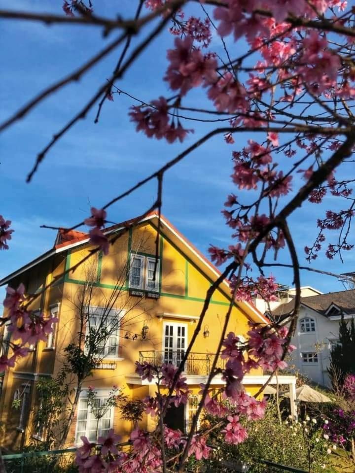 Bich Dao Boutique - Dalat 호텔 외부 사진