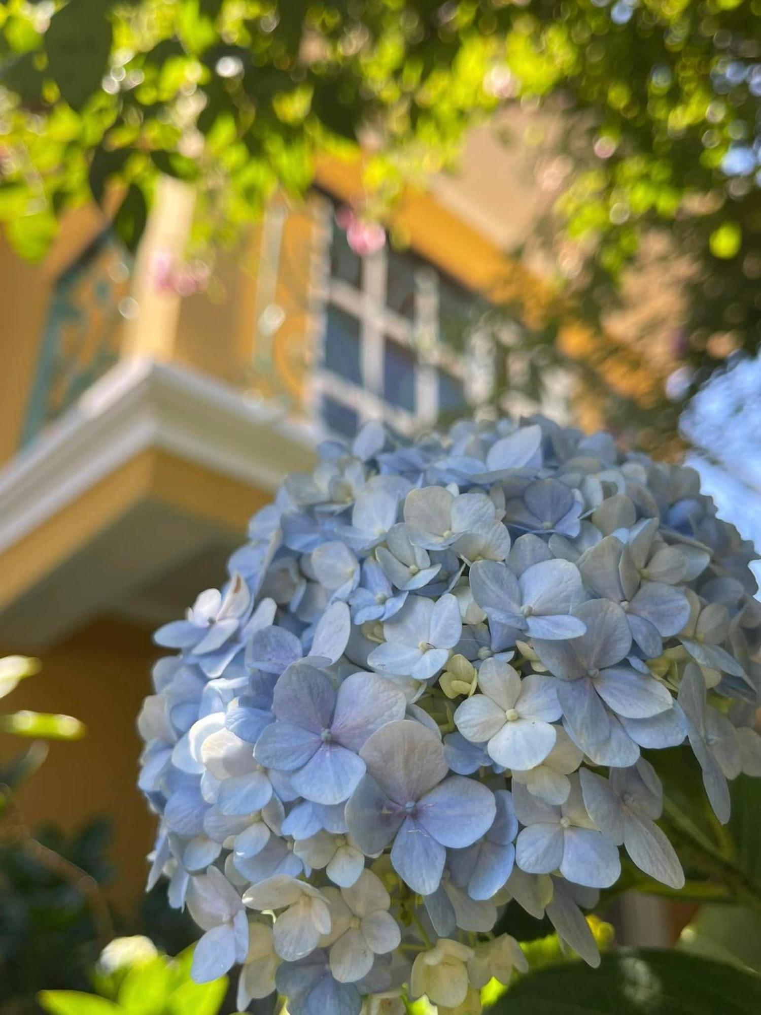 Bich Dao Boutique - Dalat 호텔 외부 사진